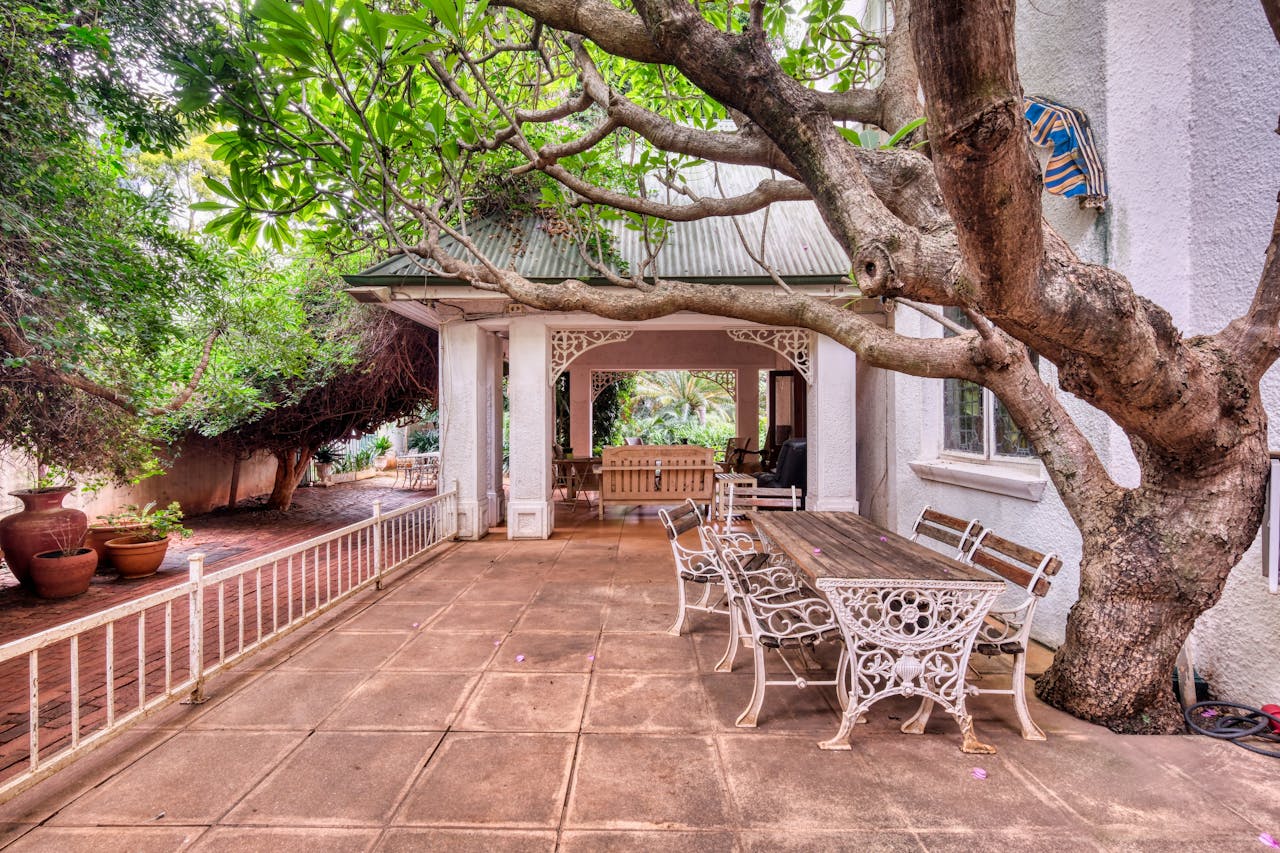 Pexels Photo 31473343